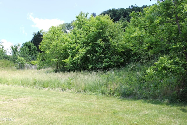 246 Keenburg Rd, Elizabethton, TN 37643 - view of local wilderness with a forest view