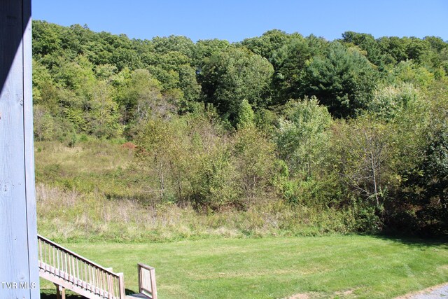 246 Keenburg Rd, Elizabethton, TN 37643 - view of yard with a wooded view