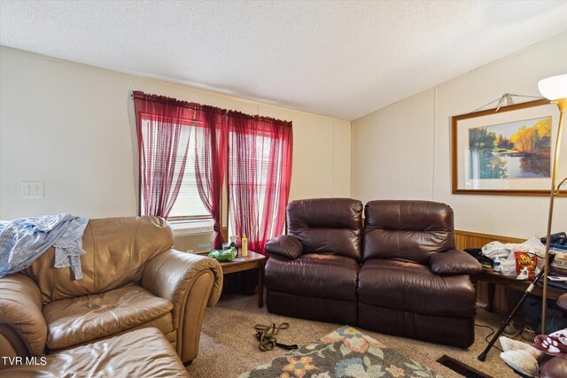 carpeted living room with a textured ceiling