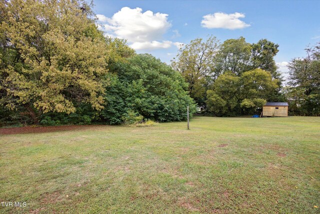 view of yard with a storage shed