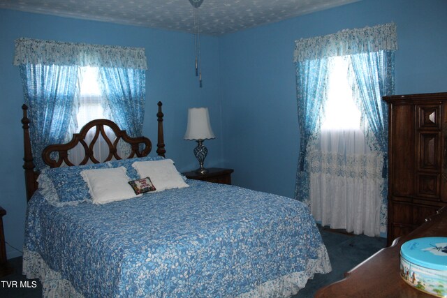 carpeted bedroom with a textured ceiling and multiple windows