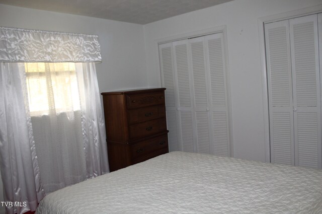 carpeted bedroom with two closets