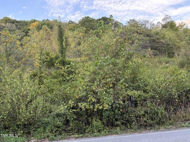 0 Gravely Valley Rd, Surgoinsville, TN 37873 - photo 3