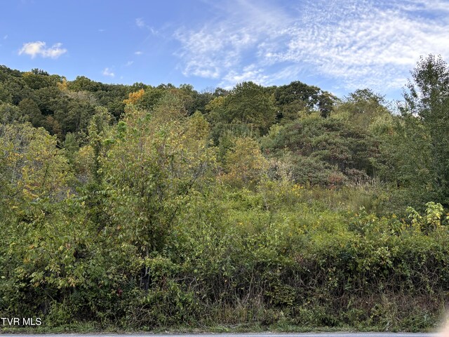 0 Gravely Valley Rd, Surgoinsville, TN 37873 - photo 4