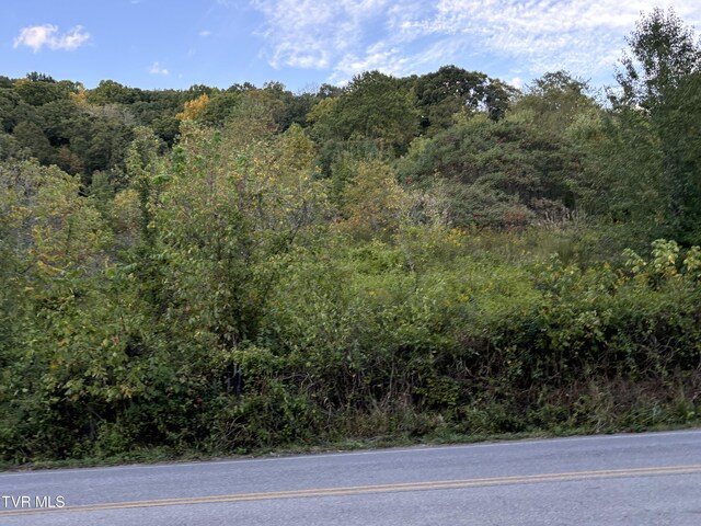 0 Gravely Valley Rd, Surgoinsville, TN 37873 - photo 5