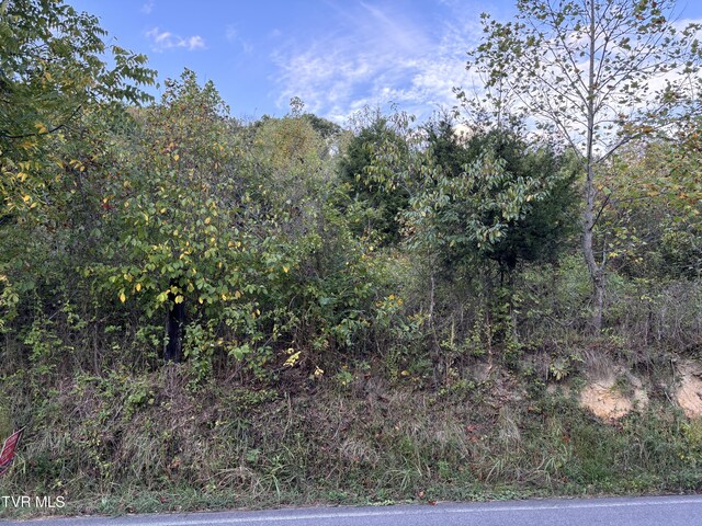0 Gravely Valley Rd, Surgoinsville, TN 37873 - photo 6