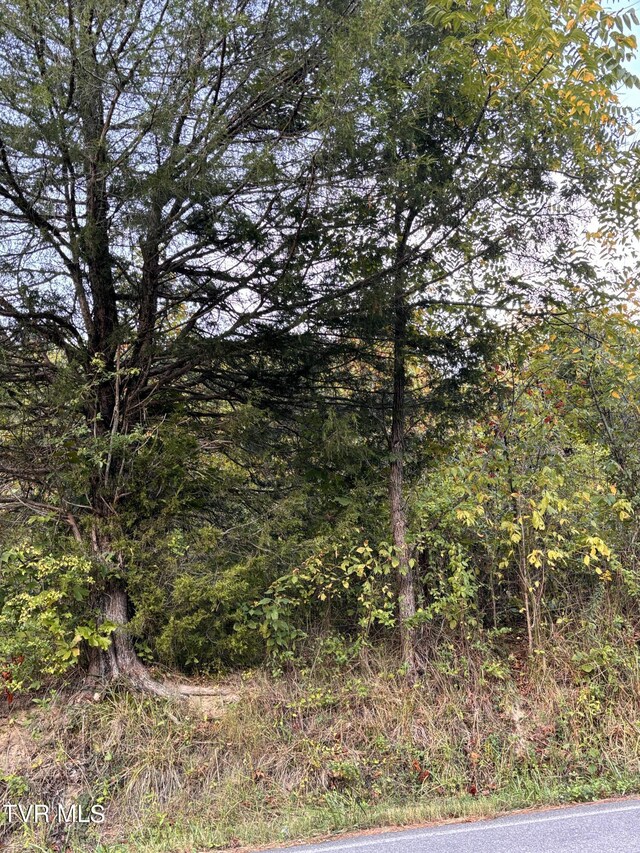 0 Gravely Valley Rd, Surgoinsville, TN 37873 - photo 7