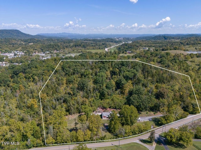 birds eye view of property with a mountain view