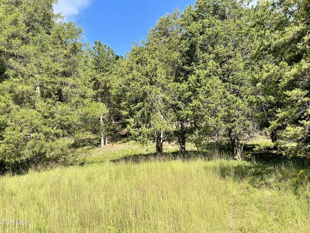 2720 Goshen Valley Rd, Church Hill, TN 37642