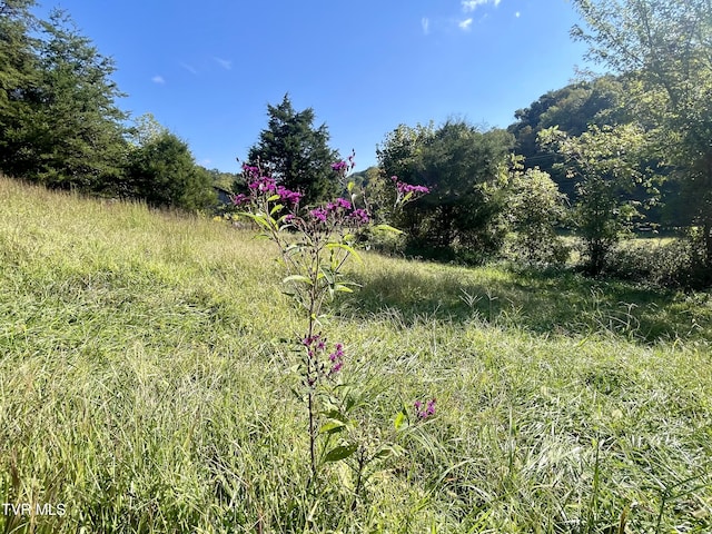 2720 Goshen Valley Rd, Church Hill, TN 37642