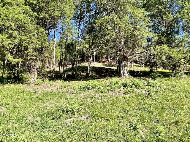 2720 Goshen Valley Rd, Church Hill, TN 37642