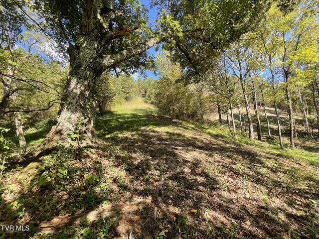 2720 Goshen Valley Rd, Church Hill, TN 37642