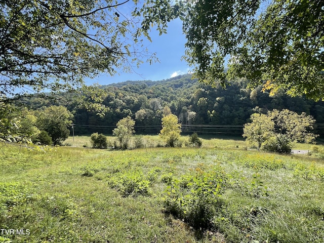 2720 Goshen Valley Rd, Church Hill, TN 37642