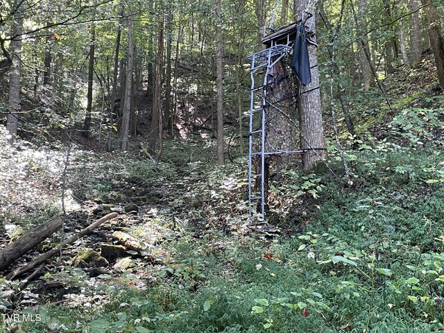 2720 Goshen Valley Rd, Church Hill, TN 37642