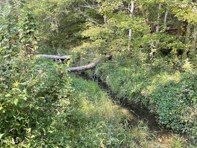 2720 Goshen Valley Rd, Church Hill, TN 37642