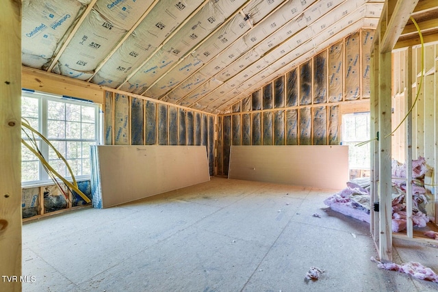 miscellaneous room with lofted ceiling