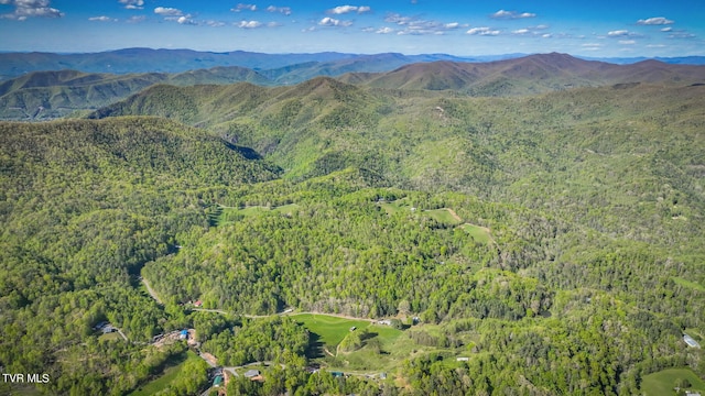 property view of mountains