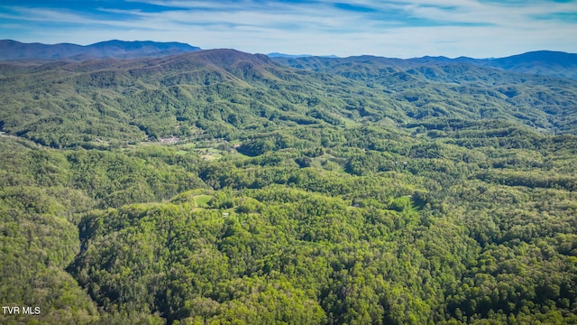 view of mountain feature