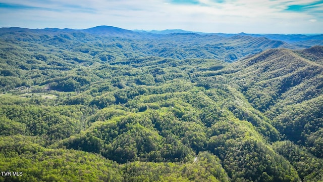 view of mountain feature