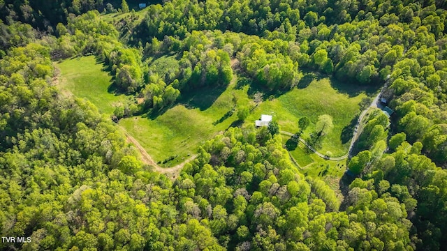 bird's eye view