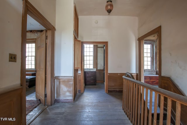 hallway with a healthy amount of sunlight and dark hardwood / wood-style floors