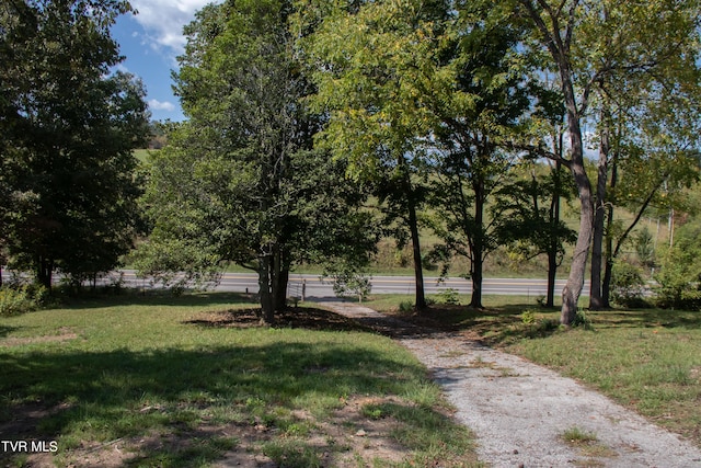 2666 Main St, Surgoinsville, TN 37873 - view of community featuring a lawn
