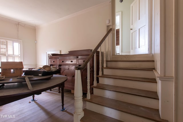 stairway featuring hardwood / wood-style floors and crown molding