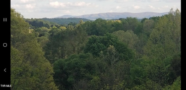 Listing photo 2 for TBD Horseshoe Bend Rd, Jonesborough TN 37659