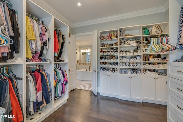 walk in closet featuring dark hardwood / wood-style floors