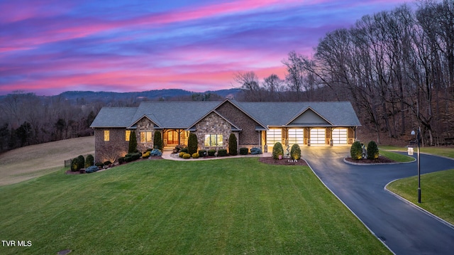 view of front of house with a yard