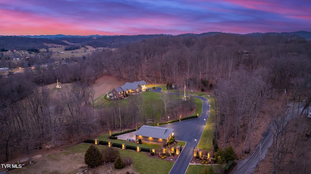 view of aerial view at dusk