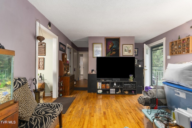 living room featuring wood-type flooring and a textured ceiling