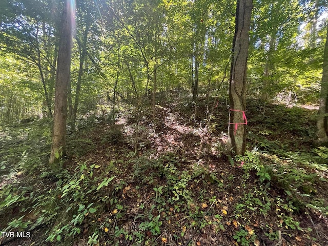 Tbd Gate Hollow Road, Mountain City TN, 37683 land for sale