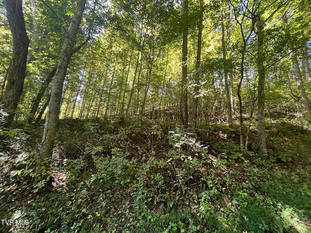 Listing photo 2 for Tbd Gate Hollow Road, Mountain City TN 37683