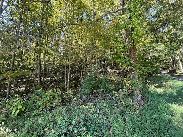 Listing photo 3 for Tbd Gate Hollow Road, Mountain City TN 37683