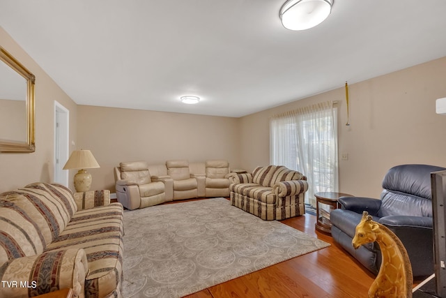 living room featuring hardwood / wood-style flooring