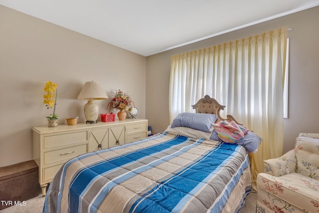 bedroom featuring carpet flooring