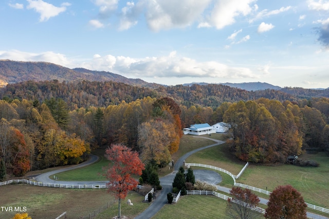 1008 Holly Meadow Rd, Mountain City, TN 37683 - photo 65