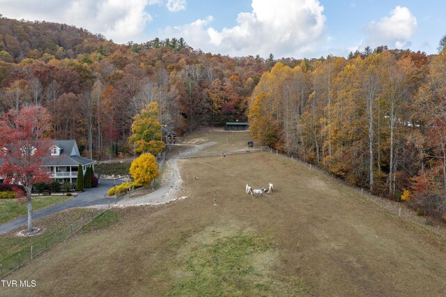 1008 Holly Meadow Rd, Mountain City, TN 37683 - photo 70