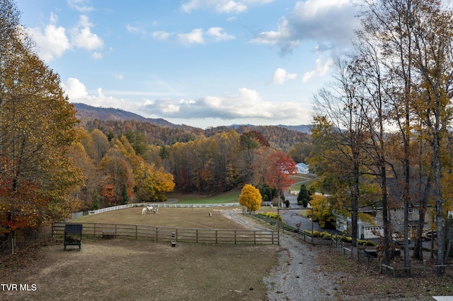 1008 Holly Meadow Rd, Mountain City, TN 37683 - photo 72