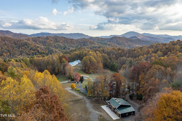 1008 Holly Meadow Rd, Mountain City, TN 37683 - photo 73