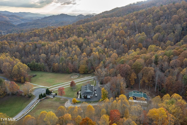 1008 Holly Meadow Rd, Mountain City, TN 37683 - photo 74