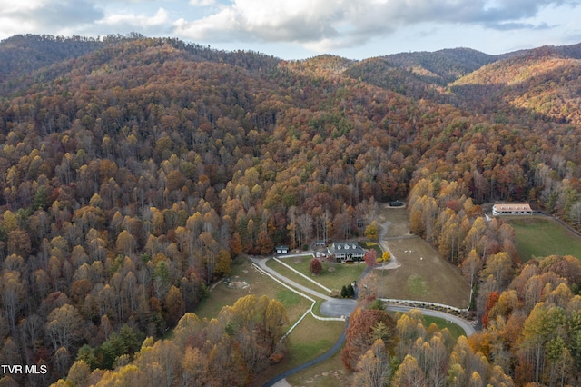 1008 Holly Meadow Rd, Mountain City, TN 37683 - photo 75