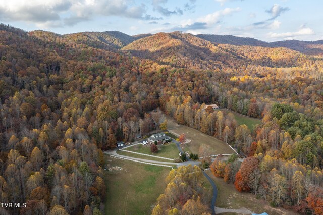 1008 Holly Meadow Rd, Mountain City, TN 37683 - photo 76