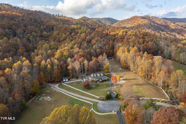 1008 Holly Meadow Rd, Mountain City, TN 37683 - photo 77