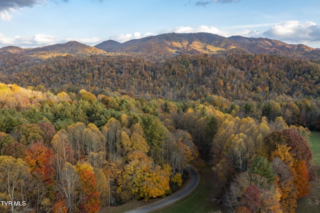 1008 Holly Meadow Rd, Mountain City, TN 37683 - photo 80
