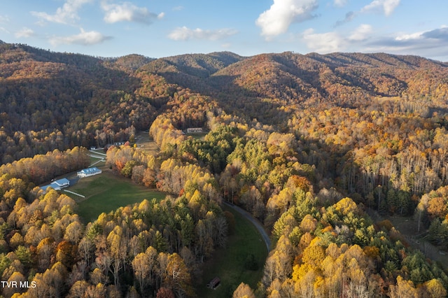 1008 Holly Meadow Rd, Mountain City, TN 37683 - photo 82