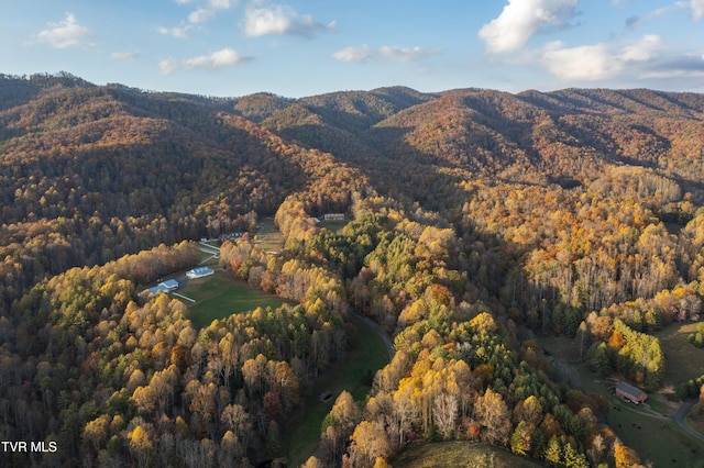 1008 Holly Meadow Rd, Mountain City, TN 37683 - photo 83