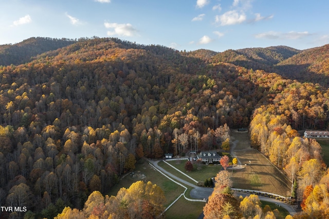 1008 Holly Meadow Rd, Mountain City, TN 37683 - photo 85