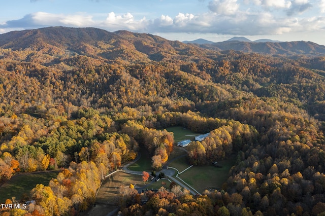 1008 Holly Meadow Rd, Mountain City, TN 37683 - photo 87